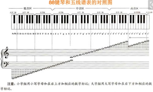 胃溃疡吃什么食物和水果最好-胃溃疡老人吃什么食物好网 | 胃溃疡老年人吃什么好,老人胃溃疡吃什么养胃
